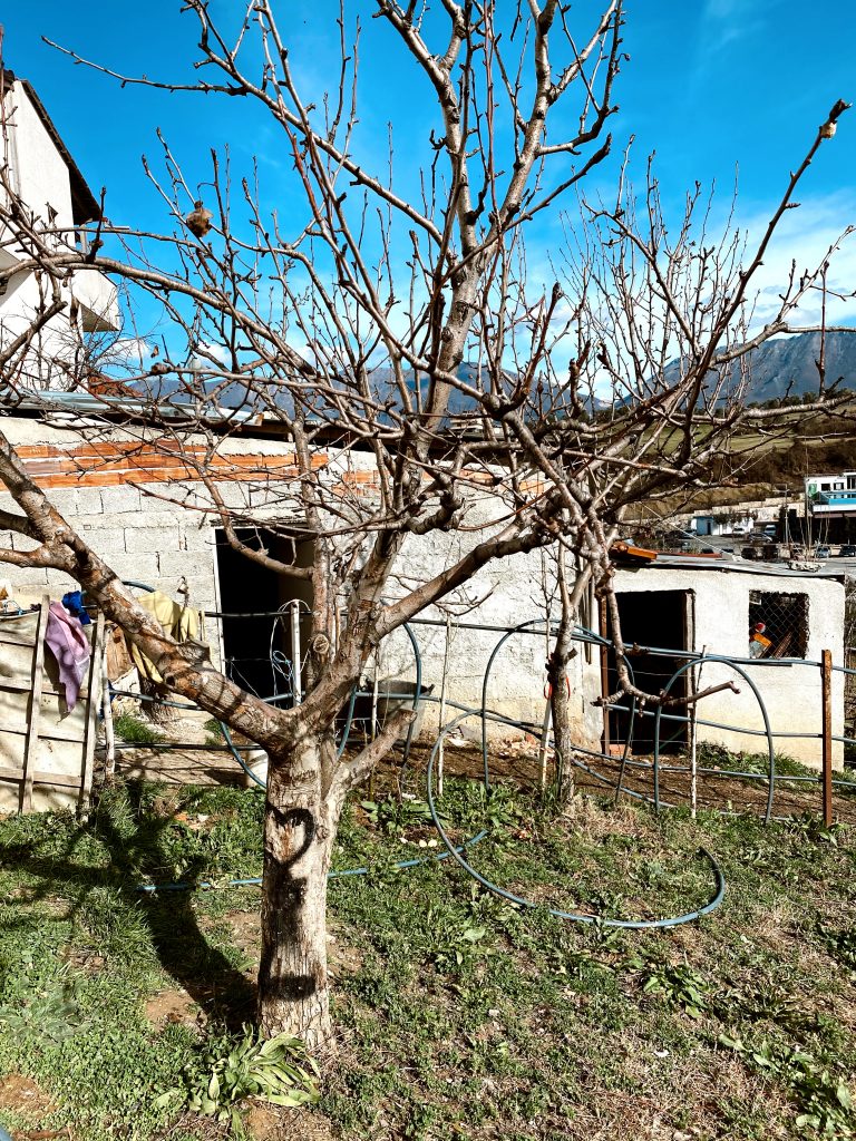 Alexandra Lapp traveling to Tirana, Albania to SOS Kinderdörfer weltweit, an organisation which supports more than 1,5 Mio. people in more than 130 countries of the world. It offers various forms of support such as schools, social centers, medical centers, vocational training centers, SOS Children’s Villages and kindergardens.