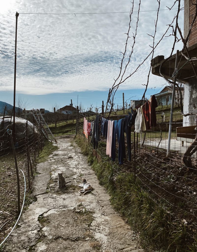 Alexandra Lapp traveling to Tirana, Albania to SOS Kinderdörfer weltweit, an organisation which supports more than 1,5 Mio. people in more than 130 countries of the world. It offers various forms of support such as schools, social centers, medical centers, vocational training centers, SOS Children’s Villages and kindergardens.