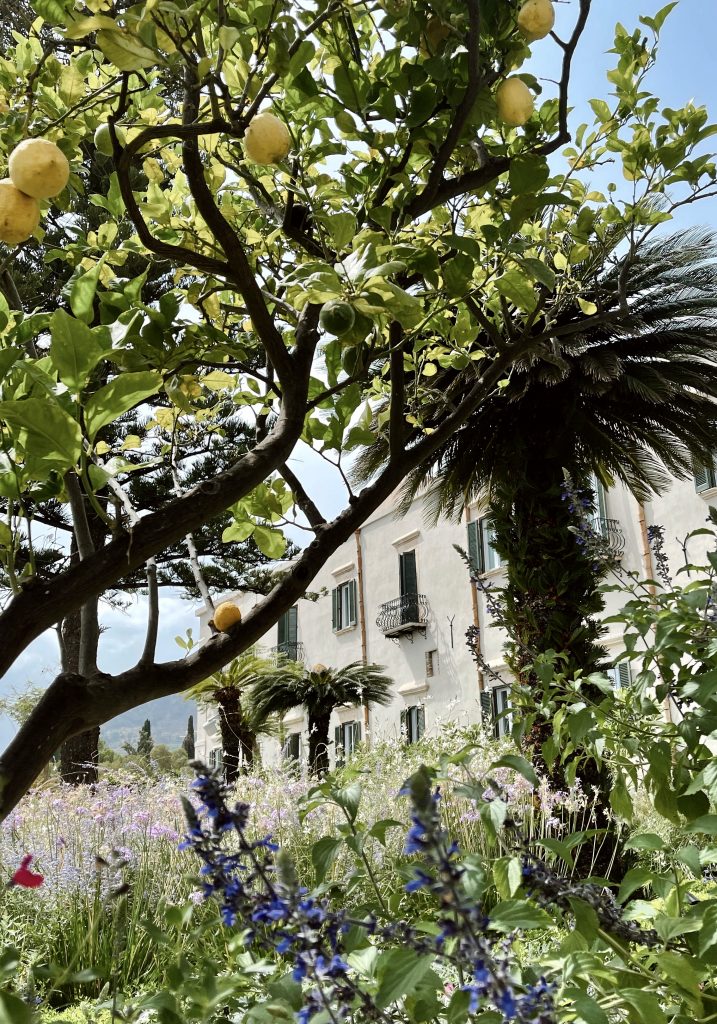 Alexandra Lapp had the pleasure to spend her birthday week at the beautiful San Domenico Palace, Taormina, A Four Seasons Hotel on the island of Sicily.